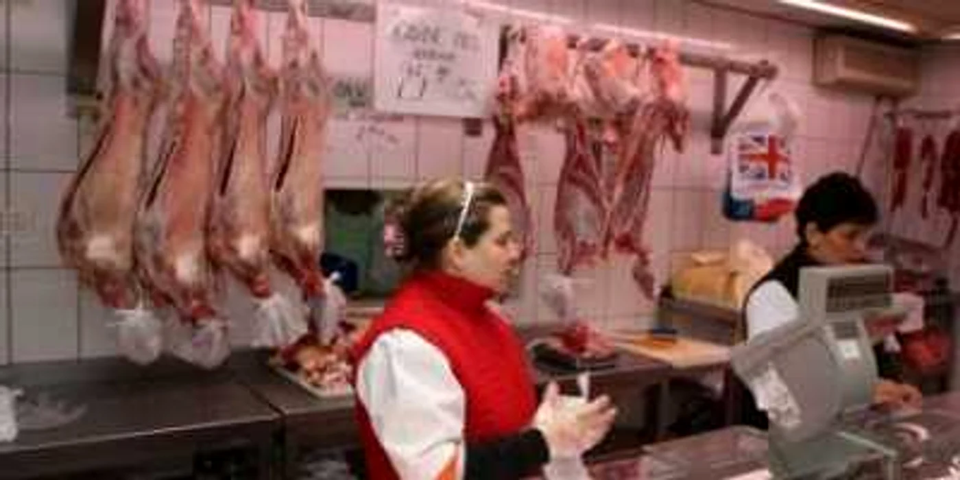 Medicii veterinari au amendat magazinele care au încălcat normele. Foto arhivă