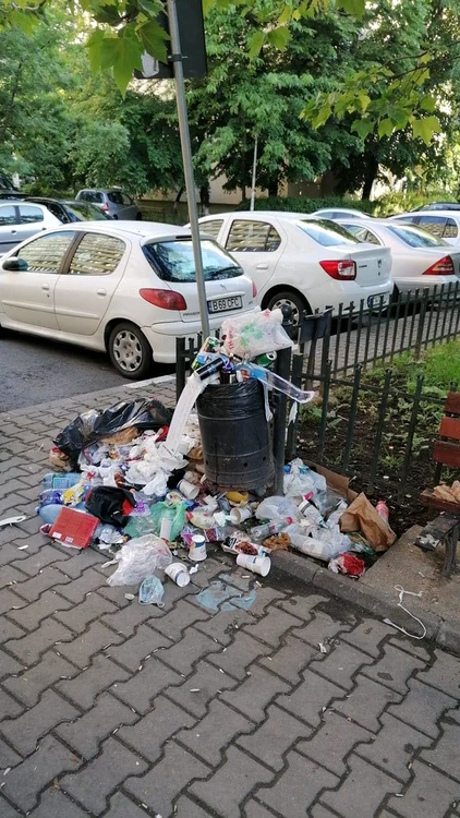 
    Resturile sunt aruncate lângă coșul de gunoiFoto: Facebook  
