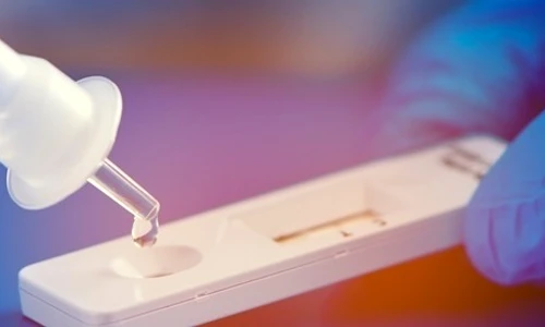 6 shutterstock 1904889133 crop jpg jpeg