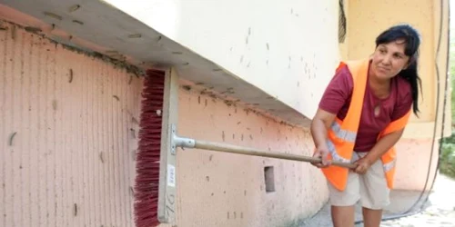 Locuitorii oraşului susţin că au fost invadaţi de omizi