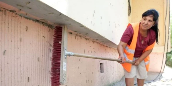 Locuitorii oraşului susţin că au fost invadaţi de omizi