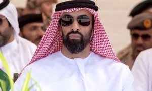 Tahnoon bin Zayed Al Nahyan2 jpg