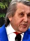 cub ilie nastase png