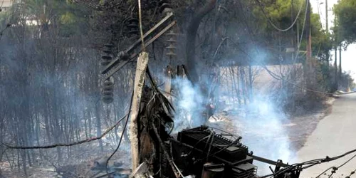 Incendii Grecia / FOTO EPA - EFE / 25 iul 2018