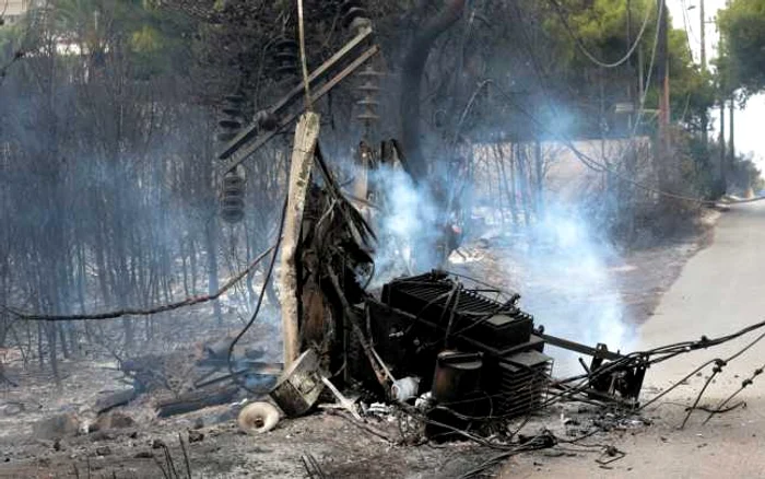 Incendii Grecia / FOTO EPA - EFE / 25 iul 2018