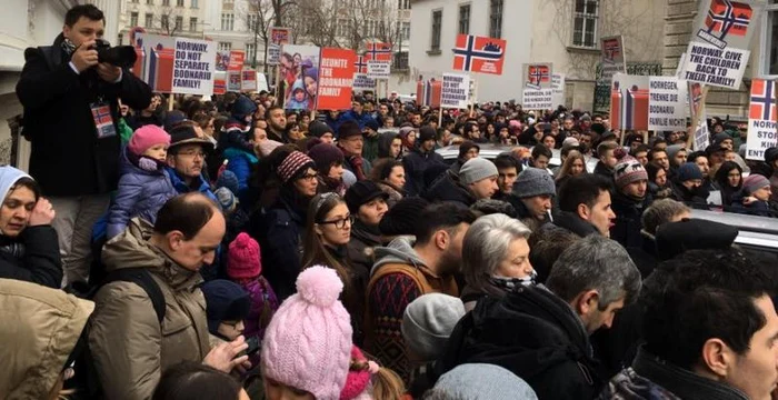 
    La Viena, sute de persoane au protestat pentru a-i susţine pe soţii BodnariuFoto: Facebook  