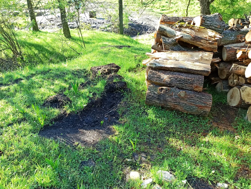 Dovezile vandalizării sunt certe FOTO Facebook Vasile Diaconu