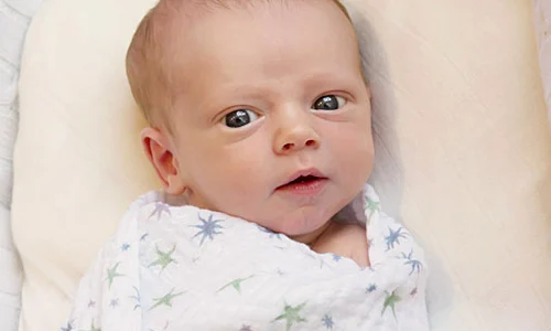 apladifceaaljw5 jpeg