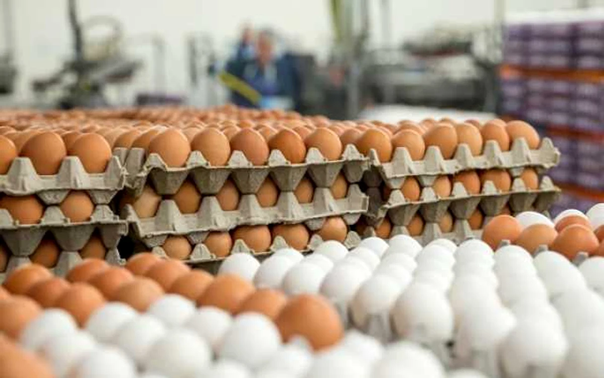 Preţul ouălor a scăzut cu peste 7% în martie faţă de februarie