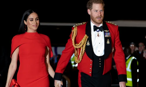 10 profimedia 0504380919 jpg jpeg