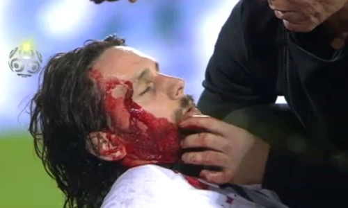 subotic jpeg