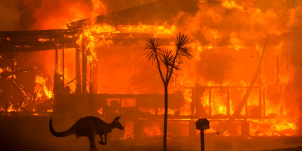 Incendii Australia FOTO Twitter
