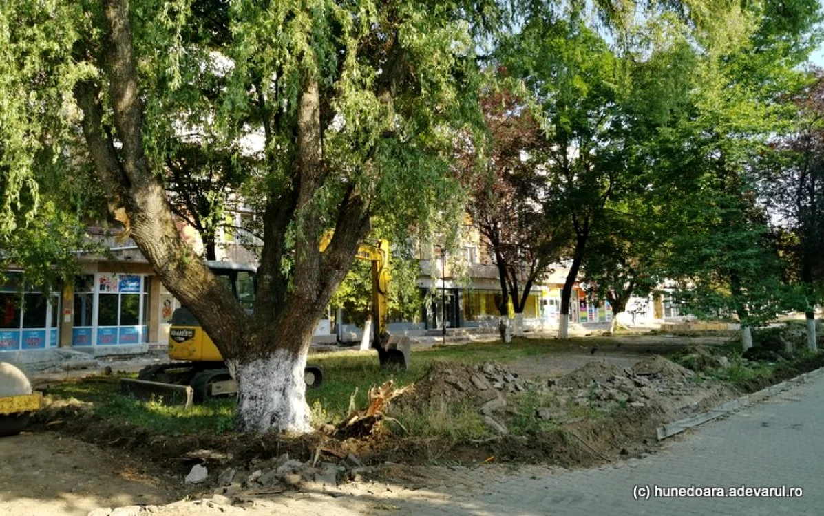 zona sanitas din hunedoara in santier foto daniel guta adevarul