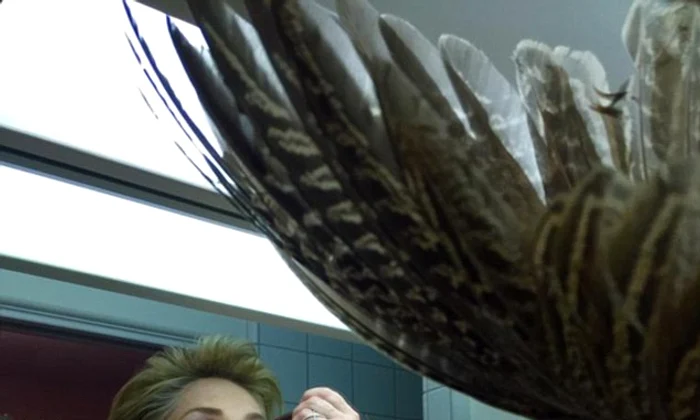sharon stone jpeg