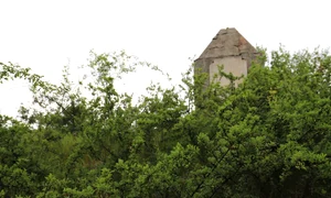 Dealul fetii, Hunedoara  FOTO Daniel Guță ADEVĂRUL (33) JPG