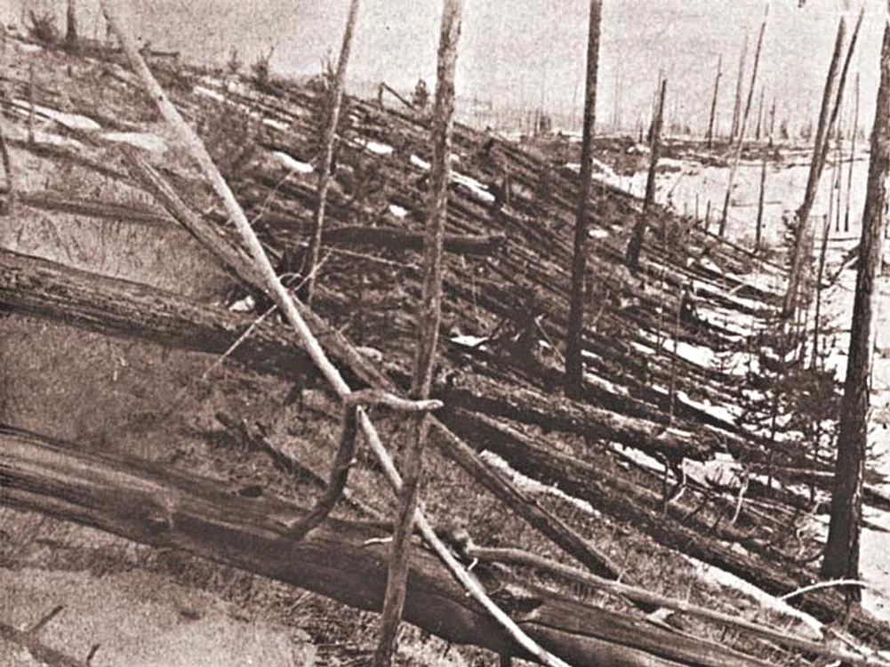 80 de milioane de pomi au fost distruşi