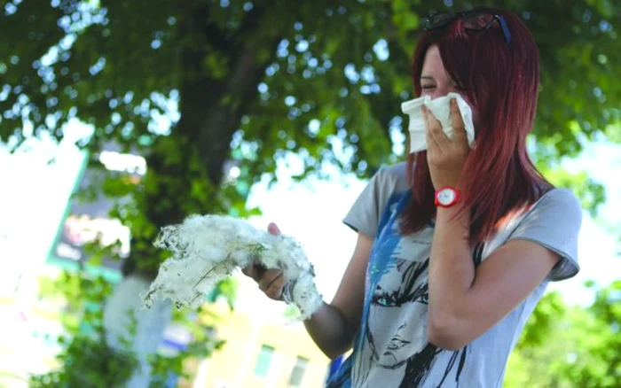 Alergia provocată de puful de plop se manifestă prin probleme de respiraţie, mâncărimi ale ochilor şi lăcrimări, strănuturi, stări de slăbiciune FOTO: Adevărul