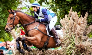 Karpatia Horse Show 2017 jpeg