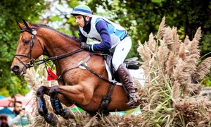 Karpatia Horse Show 2017 jpeg
