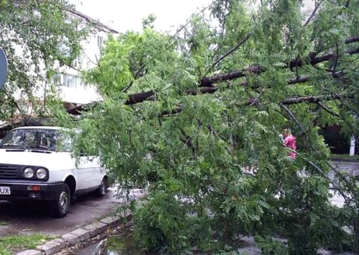 Din cauza furtunii puternice, s-au înregistrat avarii în reţeaua de alimentare cu energie electricăFoto Click!
