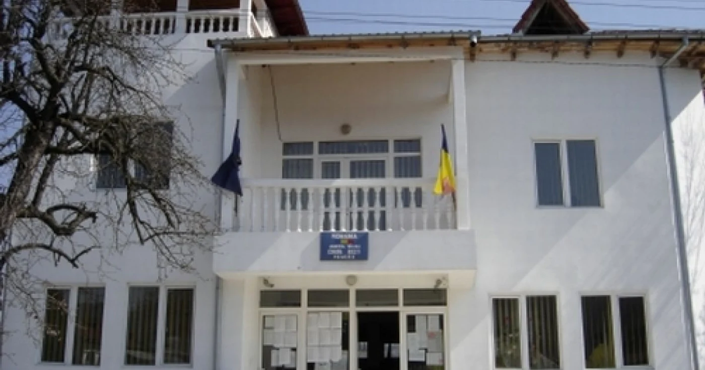 primarie 