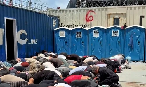 activisti flotila jpg
