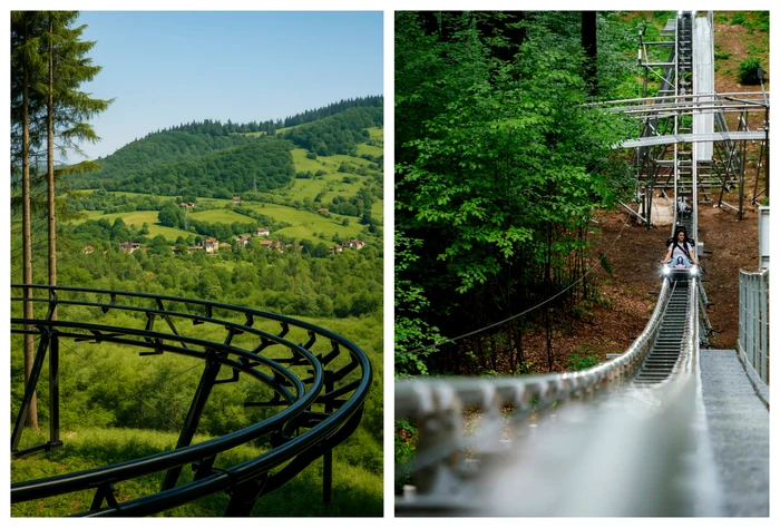 Forest Coasterul din Gura Humorului / foto: forestcoaster.com