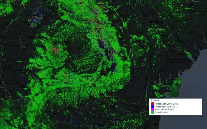 Cu roşu sunt pierderile, cu albastru sunt marcate zonele reîmpădurite.