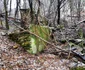Valea Tatausului Foto Daniel Guță ADEVĂRUL (46) jpg