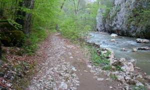 Cheile Varghisului jfif