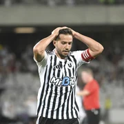 chipciu m jpg