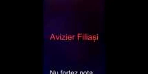 5dbfc8cb5163ec4271ab59bd jpg