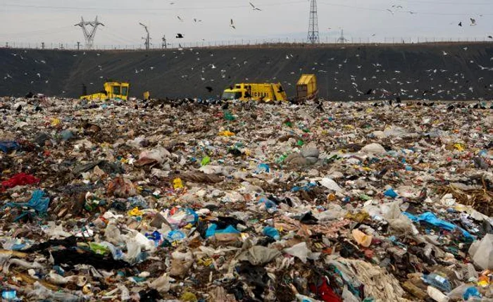 Ghenele din blocuri vor dispărea, iar măturătorii stradali vor fi înlocuiţi de utilajefoto: arhivă Click!