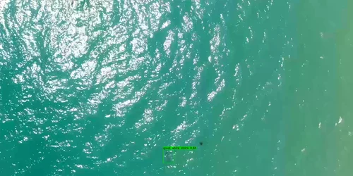 20240723 shark ai loop 20240723091957160 mp4 thumbnail png