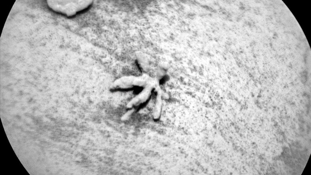 „Coralul” misterios descoperit pe Marte dezvăluie secrete despre trecutul planetei roșii. Cercetătorii NASA au fost uimiți