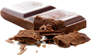 CLIIMA20110910 0085 1 jpeg