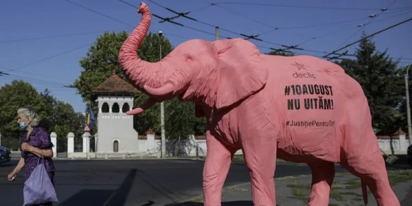elefant roz 10 august palatul cotroceni. FOTO Inquam Photos/Octav Ganea