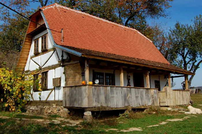 muntii padurea craiului