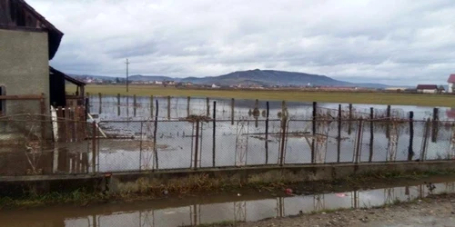 gospodarie inundata bistriteanul.ro