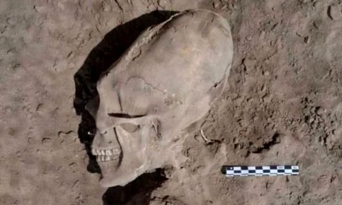 Arheologii au descoperit în Mexic un grup de schelete cu cranii bizar deformate jpeg