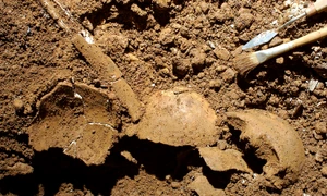 Schelete umane descoperite în Grotta della Monaca (© Felice Larocca / Centro Regionale di Speleologia „Enzo dei Medici”)