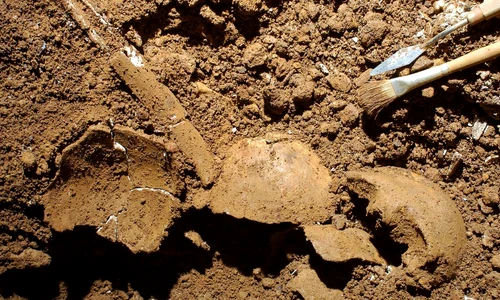 Schelete umane descoperite în Grotta della Monaca (© Felice Larocca / Centro Regionale di Speleologia „Enzo dei Medici”)
