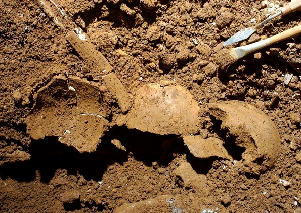 Schelete umane descoperite în Grotta della Monaca (© Felice Larocca / Centro Regionale di Speleologia „Enzo dei Medici”)