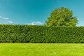 gard viu istock jpg
