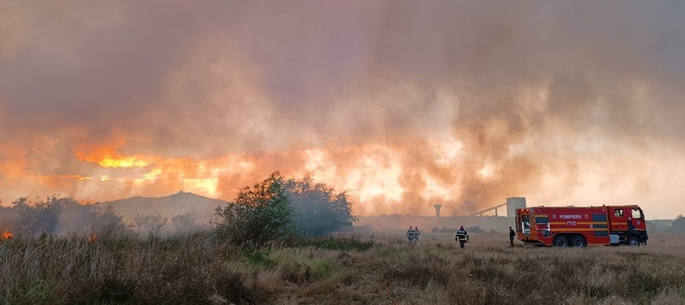 Peste 25 de hectare de stuf mistuite de flăcări în Delta Dunării