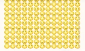 provocare tiktok jpg