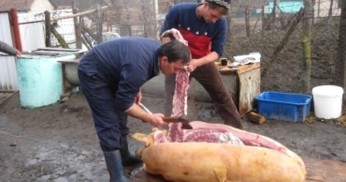 Mureşenii sunt cei mai buni la Pomana Porcului foto Arhivă