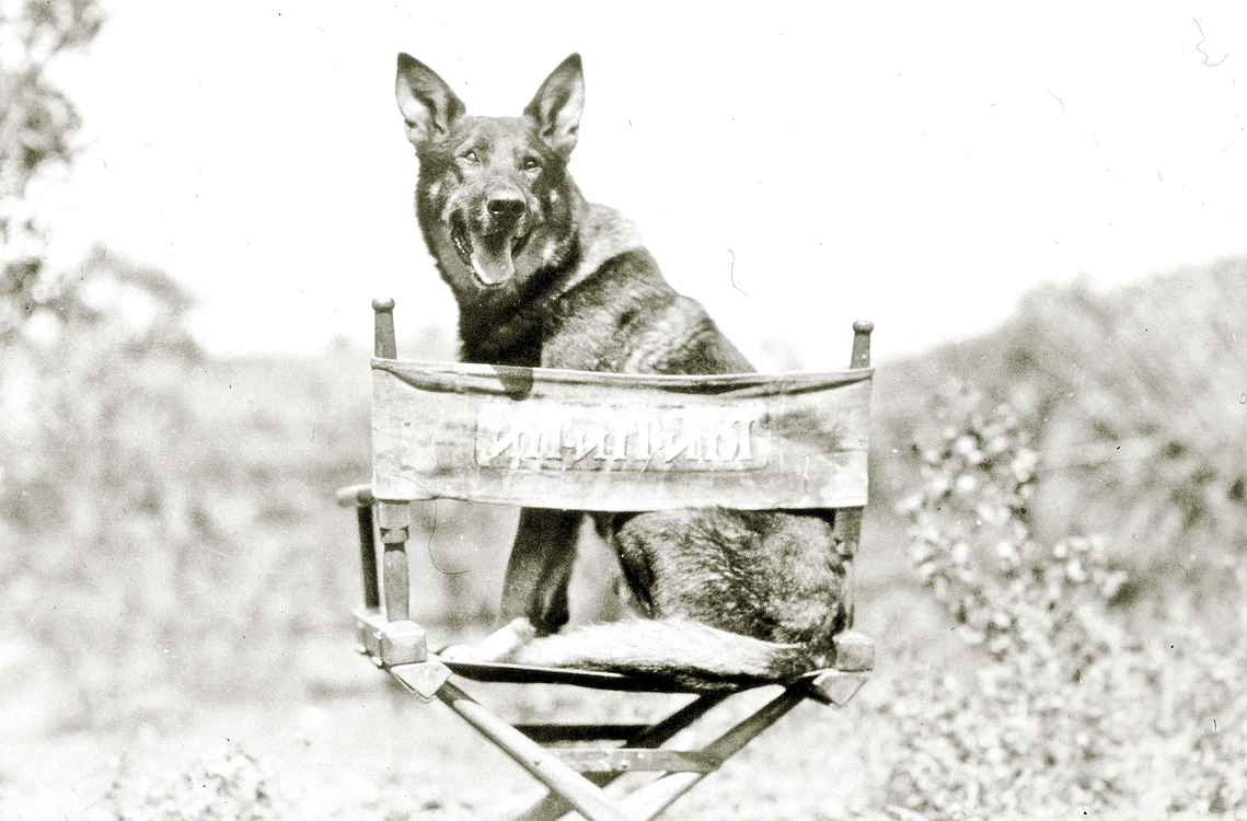Actor. Ciobănescul german Rin Tin Tin, prima vedetă canină din cinematografie