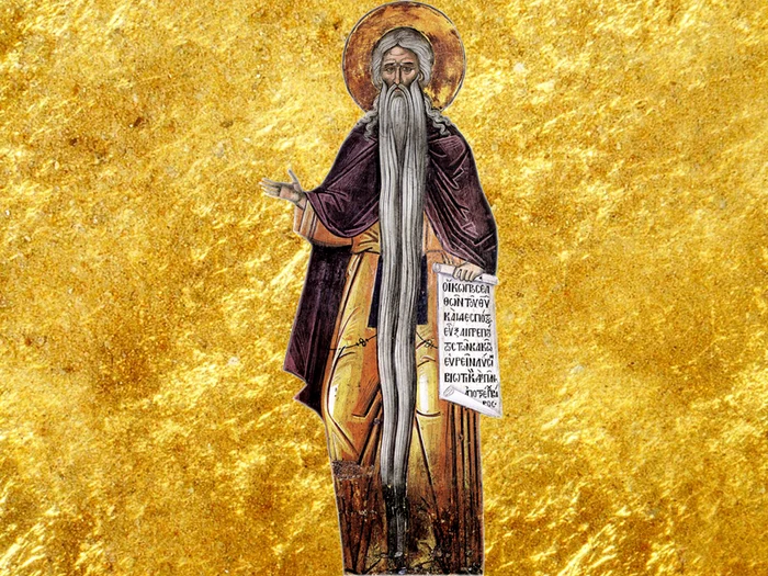 Sfântul Cuvios David din Tesalonicfoto: Doxologia.ro
