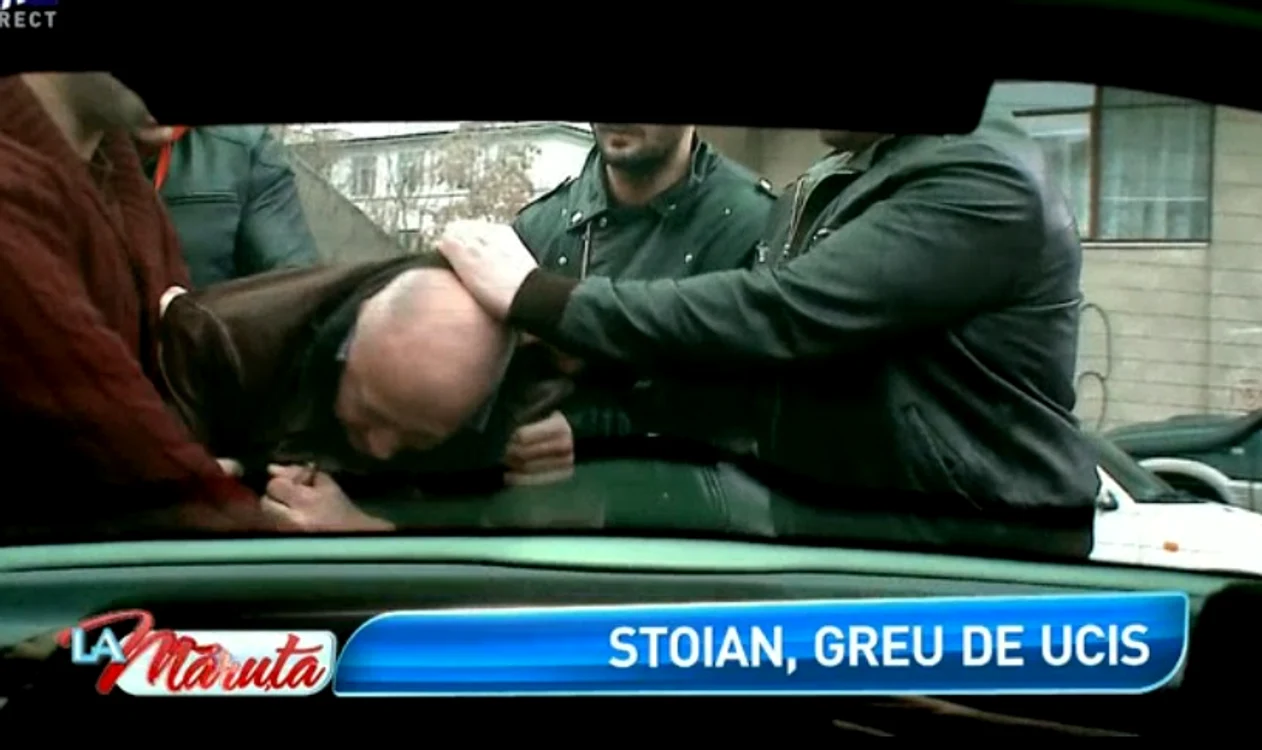 
    Stoian  